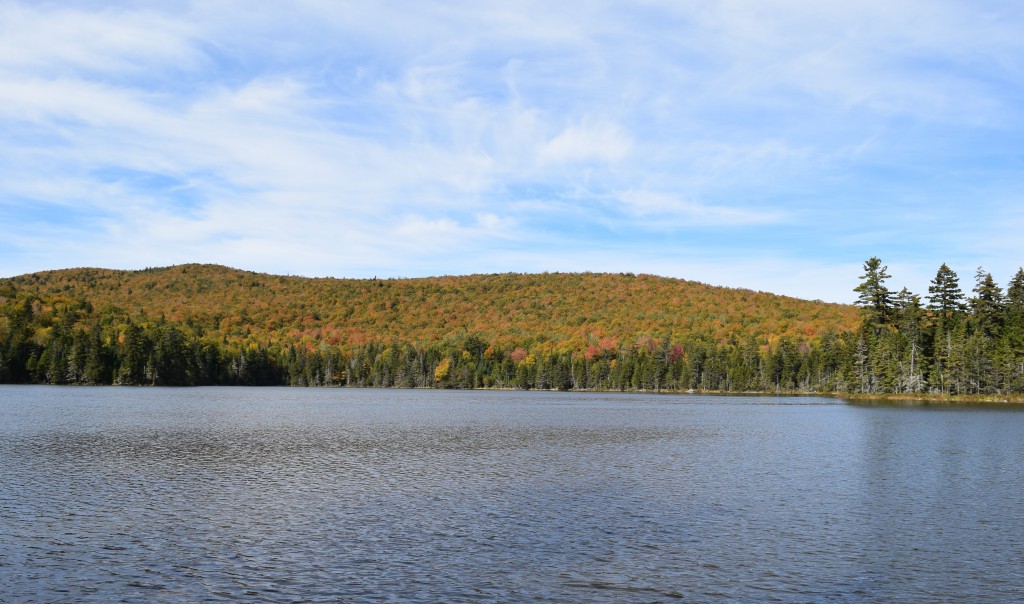 Fall colors come to the forest around the Pond of Safety.  (Photo by Edith Tucker.)