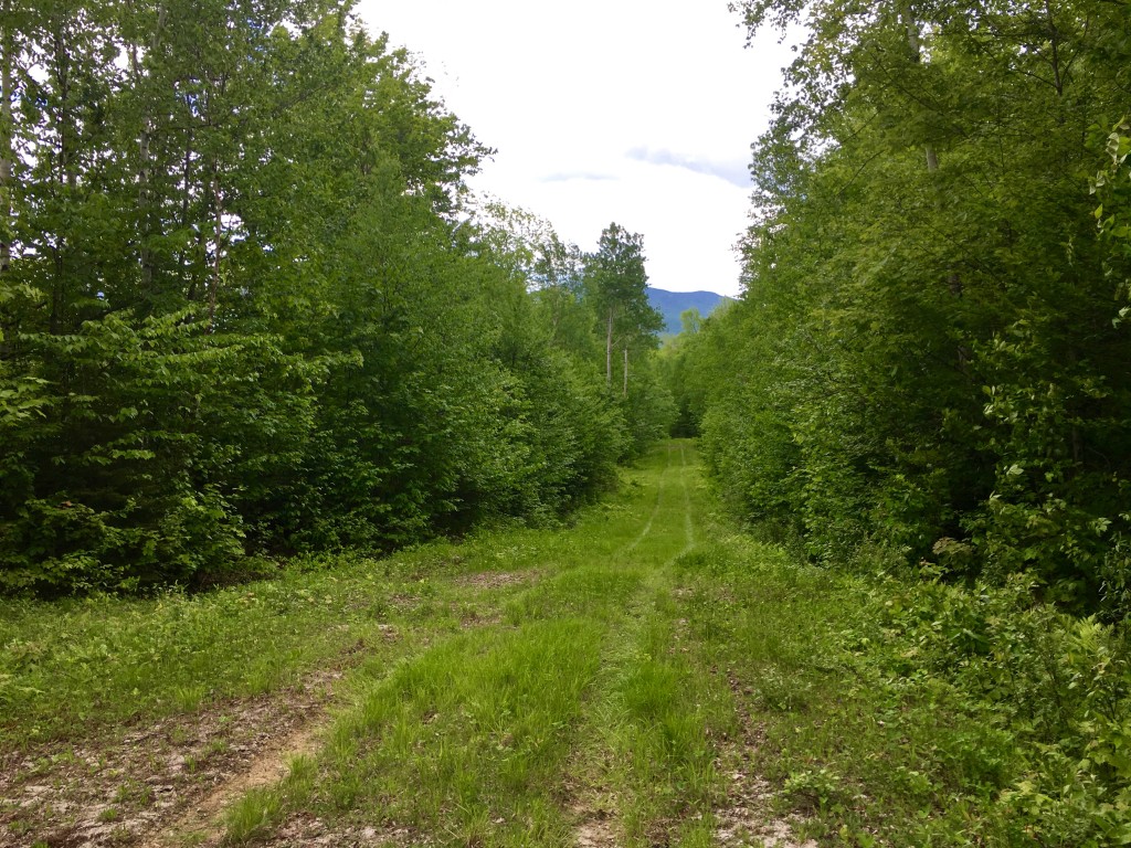 The mid-section of the trail includes a section of Community Forest roads. There are over 20 miles of such roads on the Randolph Community Forest. 
