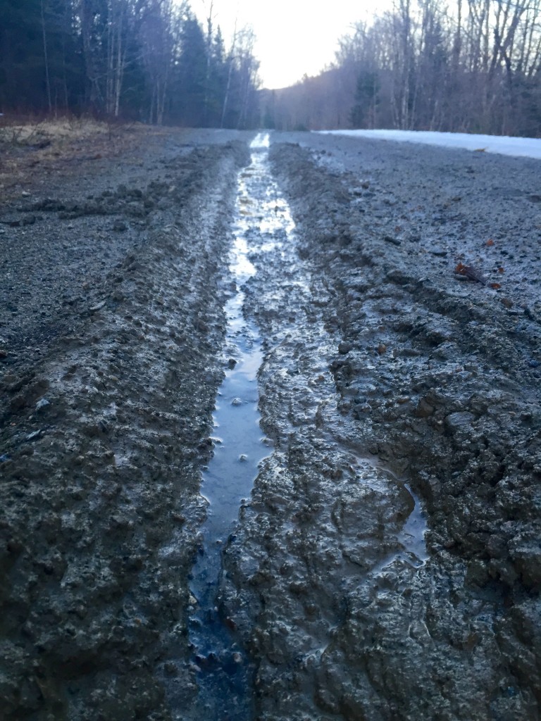 Here's why letting the roads dry out is so important-- saturated Community Forest roads are easily damaged this time of year. 