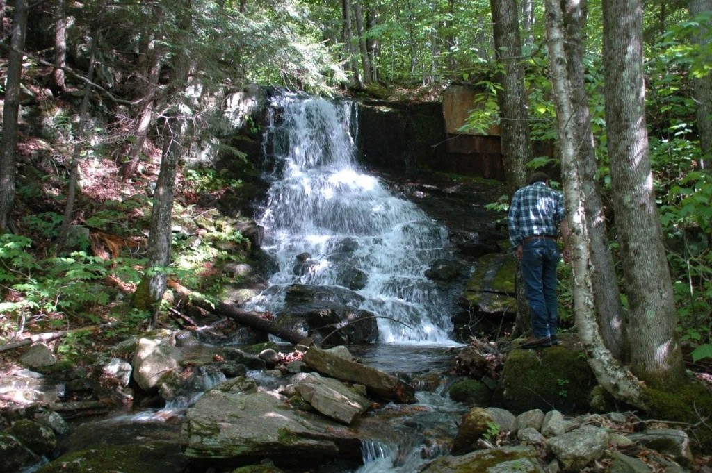 Forest Commission members, trails consultant Carl Demrow, and interested residents took a walk to Rollo Falls, recently donated to the town by Bob and Roberta Potter. 