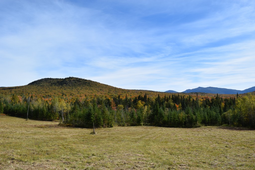 The Northern Peaks of the Presidential Range, seen in the distance from the Pond of Safety Road. (Photo by Edith Tucker.)