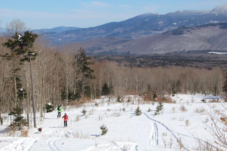 Glade Skiing on the Randolph Community Forest by John Scarinza ...